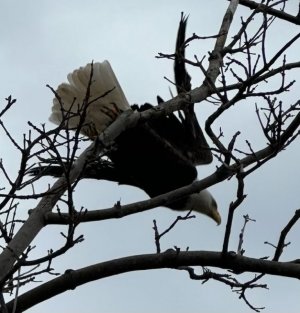 IMG_5698.jpeg