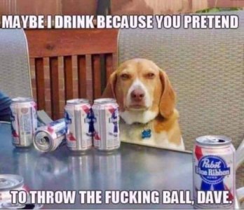 FB_IMG_1710449413333.jpg