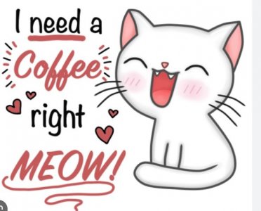 Coffee meow.jpg