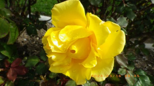 IMGP2738.JPG