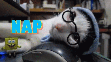 cat-nap-nap.gif