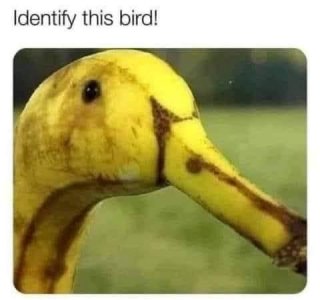 IMG_6898.jpeg