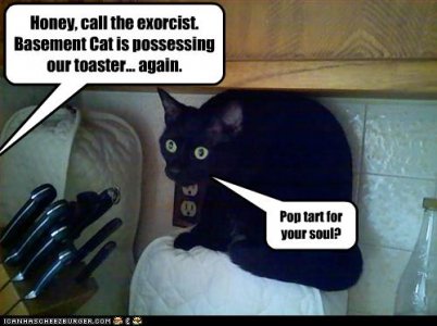 funny-pictures-cat-possesses-toaster.jpg