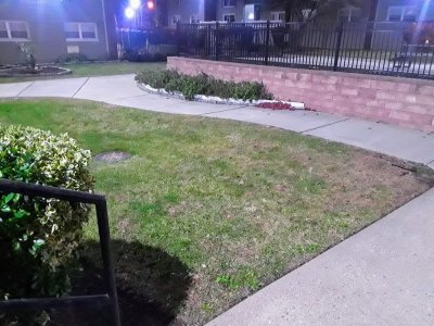 View From Stoop at NIght.jpg