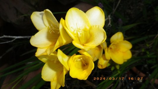 IMGP2820.JPG