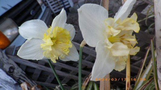 IMGP2829.JPG