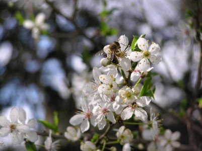 spring4.jpg