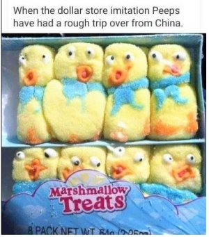 regyy.JPG