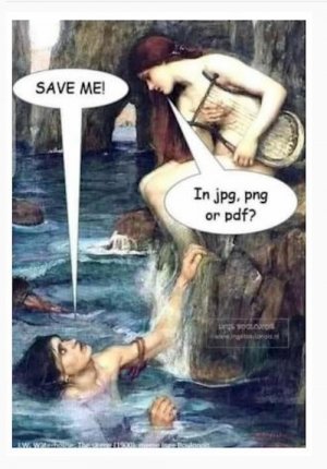 Screen Shot 2023-11-02 at 10.24.44 AM.jpeg