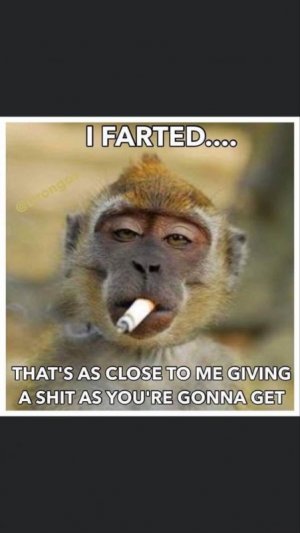 2a4648cee4629ca8a459b3ee5bfb97e5.jpg