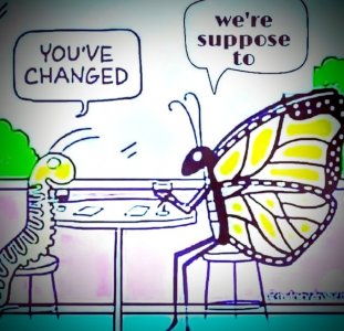 butterfly joke.jpg