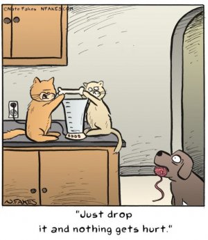 dropit.jpg