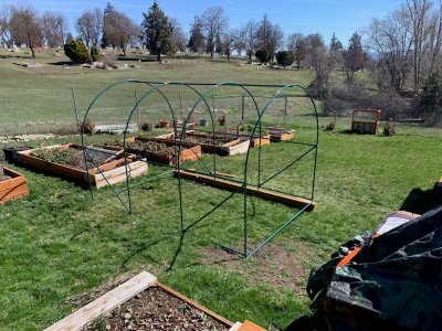 hoop house.jpg