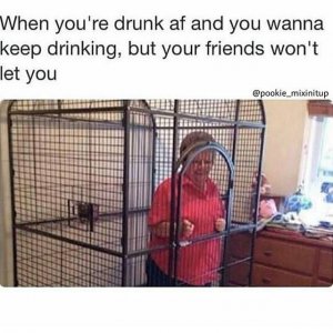 IMG_6936.jpeg