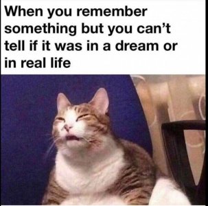 E9537EE3-1B66-4347-9C1E-9867DC6E72AB.jpeg