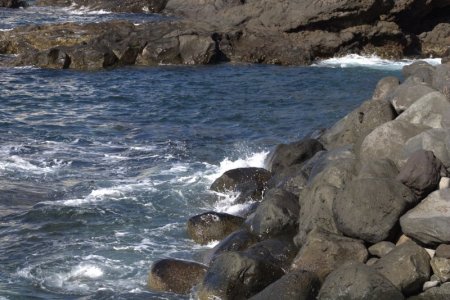 IMG_7297.jpg IMG_7297.jpg