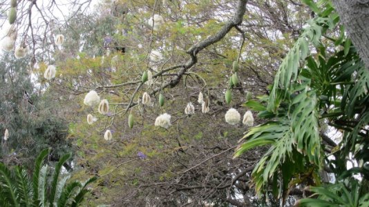 IMG_7275.jpg IMG_7275.jpg