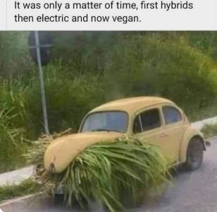vegancar.jpg