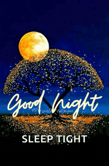 moonlight-good-night-images.gif