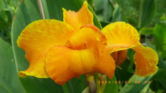 IMGP2868.JPG