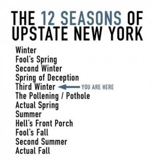 seasons.jpg