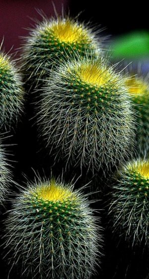 26c7762a-1d7c-46a2-a29e-9024411b16a3.jpeg