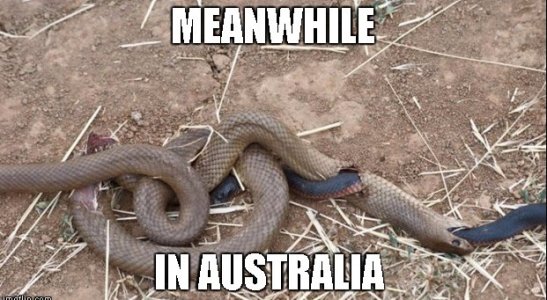 kujyherrt4w.jpg