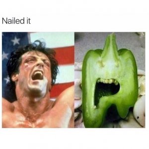 IMG_6995.jpeg