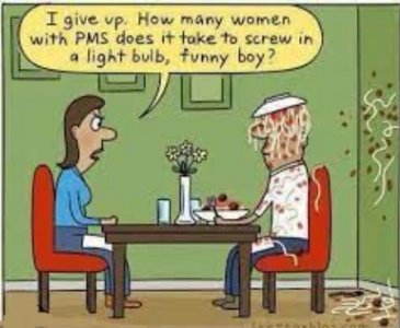 pms.jpg