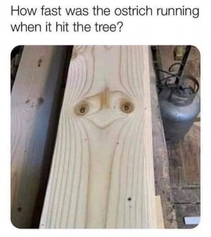 FB_IMG_1711440075113.jpg