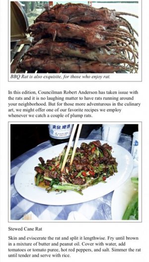 IMG_0065.jpeg IMG_0065.jpeg