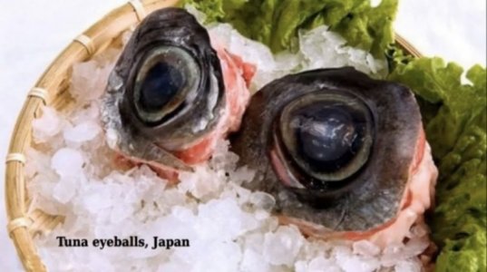 IMG_0067.jpeg IMG_0067.jpeg