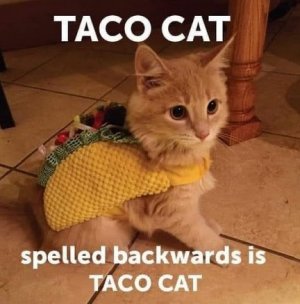 taco.jpg