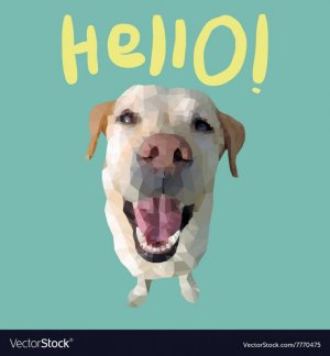 hello-card.jpg