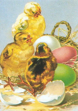 chicks & easter eggs.jpg