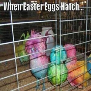 easter.jpg