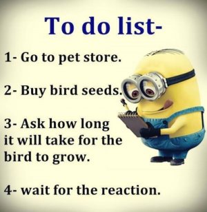 buybirdseeds.jpg
