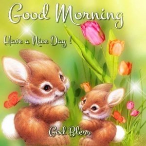 good morning.jpg