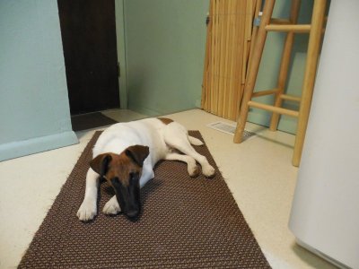 DSCN2058.JPG