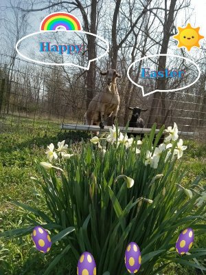 easter2.jpg