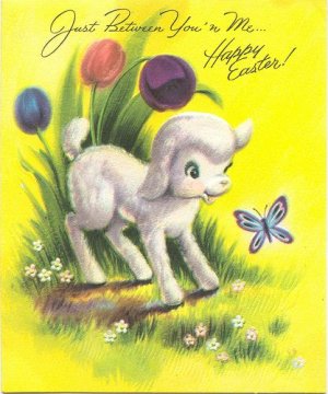 lamb4.jpg