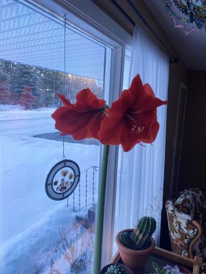 IMG_1055.jpeg