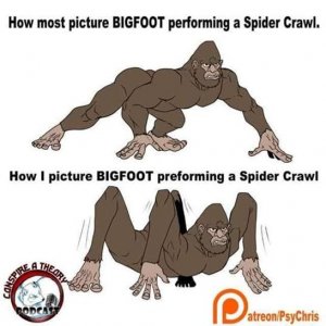 Spiderfoot.jpg