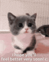 get-well-soon-cat.gif