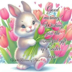 FB_IMG_1711857225680.jpg