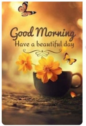 Good Morning 20.jpg