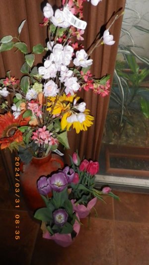 IMGP2968.JPG