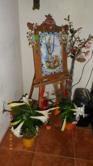 IMGP2972.JPG