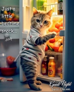 Sweet Dreams Guaranteed_ 10 Cute Good Night Blessings and Quotes.jpeg
