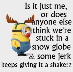 snowglobe.jpg